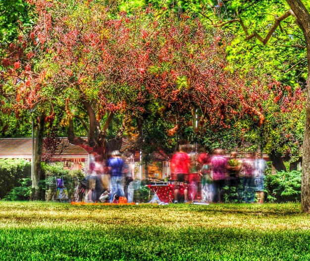 Augmented Reality Art: Transforming US Spaces & Attracting Visitors