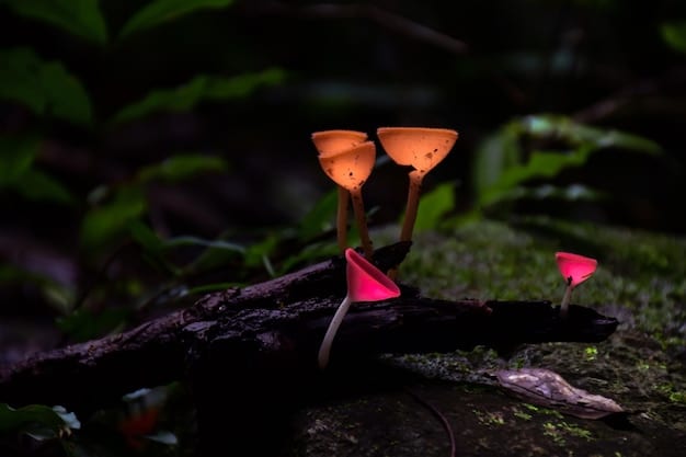 A close up in-game shot of Quill, the mouse protagonist of Moss, looking determined with her small sword raised, ready for combat in a dark and mysterious cave with glowing mushrooms.